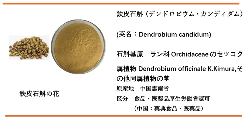 鉄皮石斛の栽培の様子